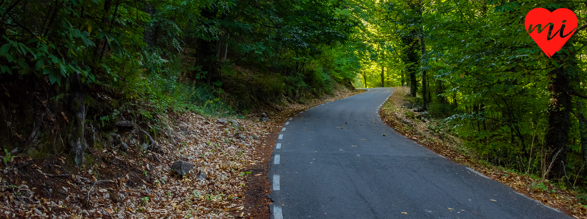 hervas-puerto-de-honduras